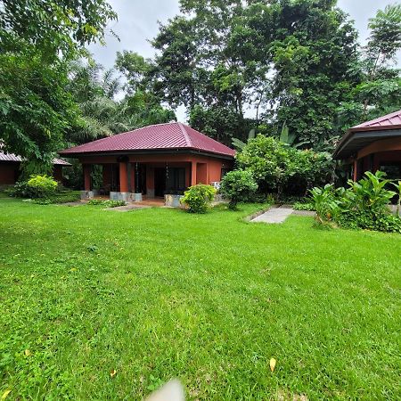 Big Foot Safari Lodge Wli Afegame 외부 사진