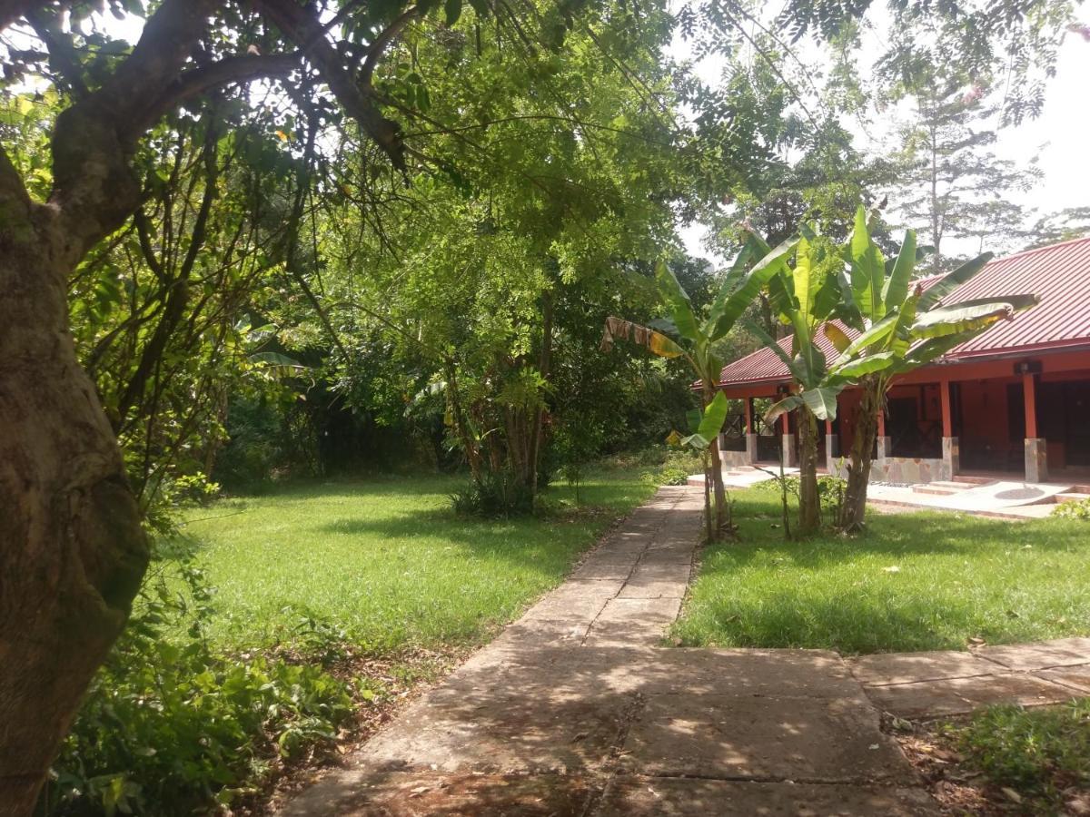 Big Foot Safari Lodge Wli Afegame 외부 사진