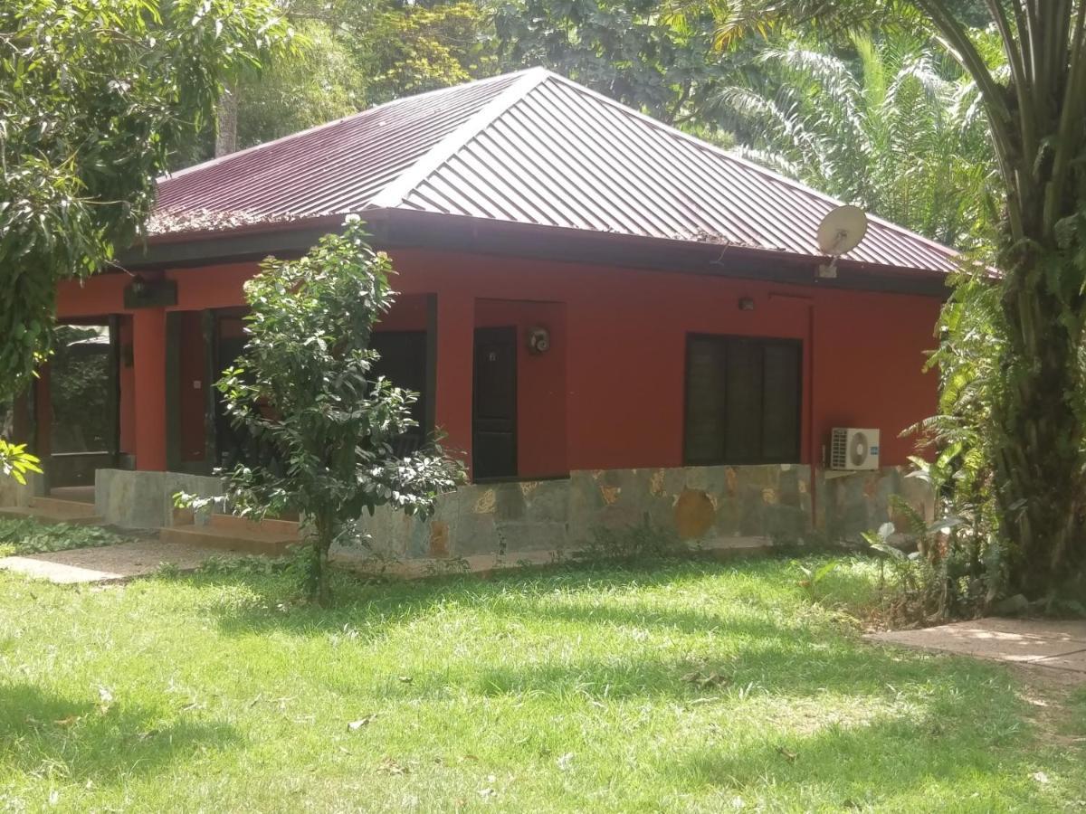 Big Foot Safari Lodge Wli Afegame 외부 사진