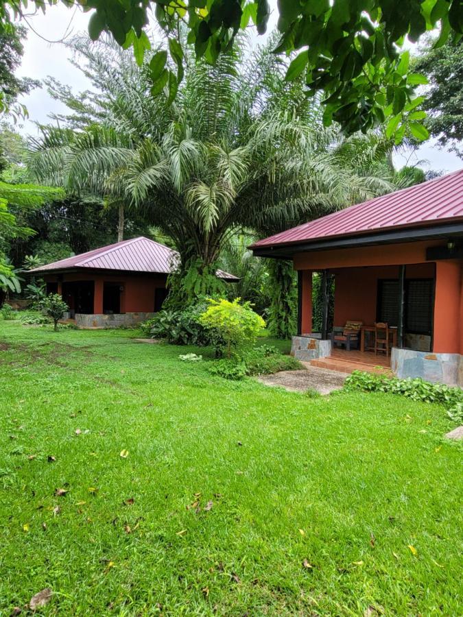 Big Foot Safari Lodge Wli Afegame 외부 사진