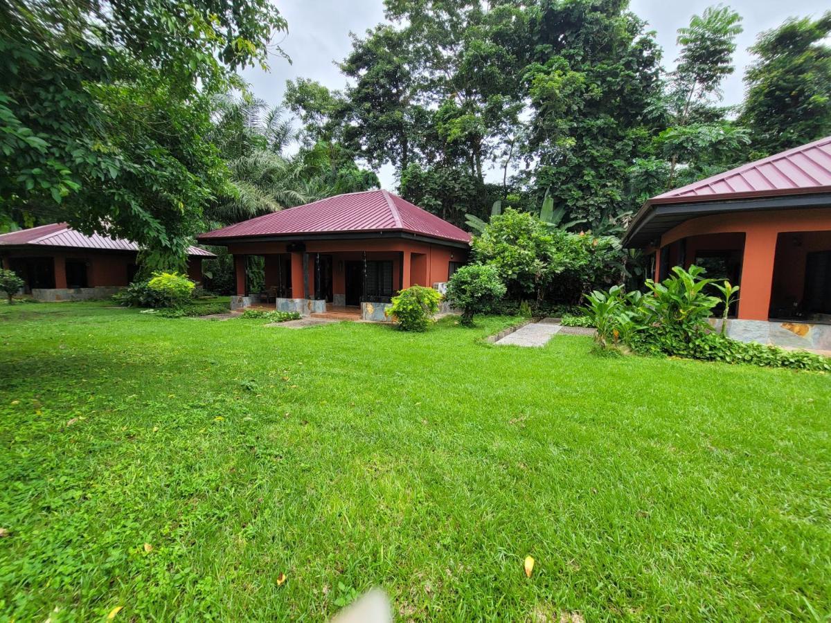 Big Foot Safari Lodge Wli Afegame 외부 사진