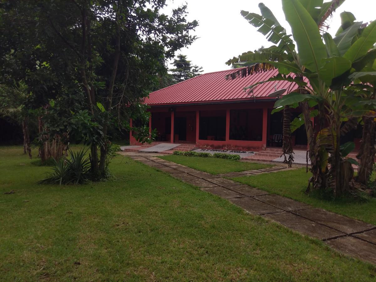 Big Foot Safari Lodge Wli Afegame 외부 사진